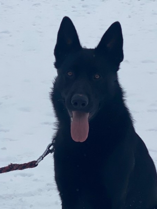 alt obrázku z admin