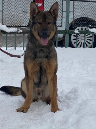 alt obrázku z admin