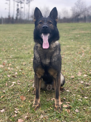 alt obrázku z admin