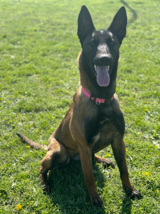 alt obrázku z admin