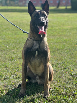 alt obrázku z admin