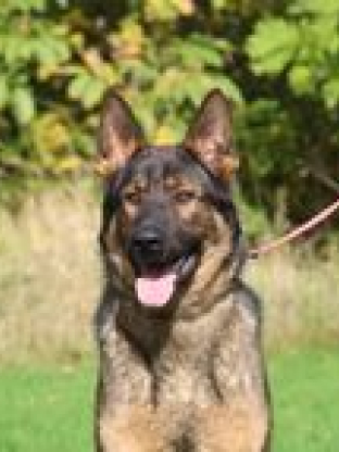 alt obrázku z admin