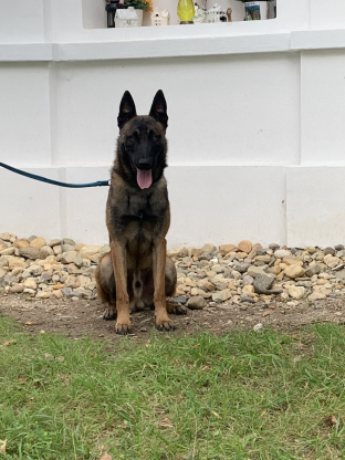 alt obrázku z admin