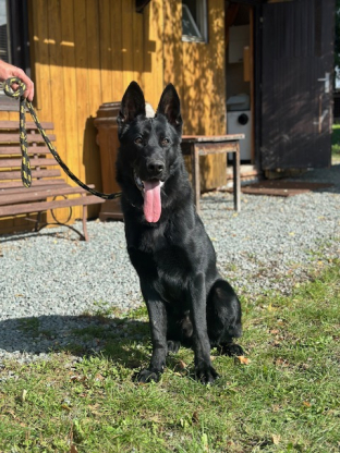 alt obrázku z admin