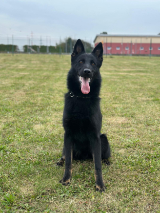 alt obrázku z admin