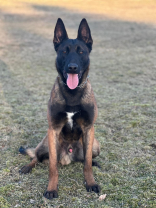 alt obrázku z admin