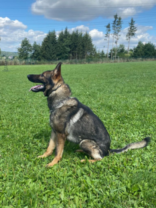 alt obrázku z admin