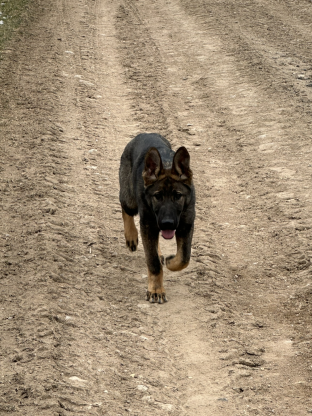 alt obrázku z admin