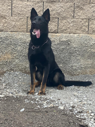 alt obrázku z admin