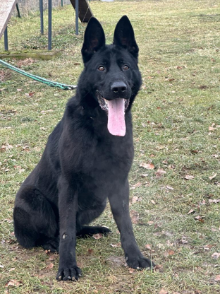 alt obrázku z admin