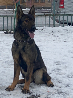 alt obrázku z admin