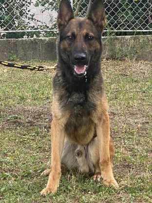 alt obrázku z admin