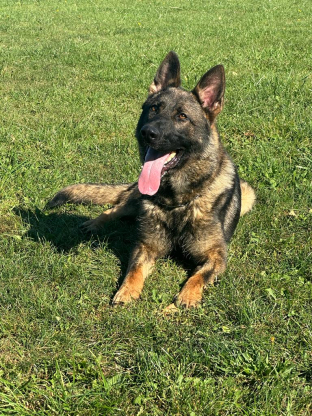 alt obrázku z admin