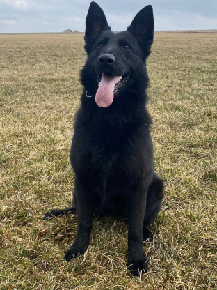 alt obrázku z admin