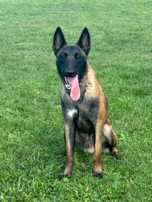 alt obrázku z admin