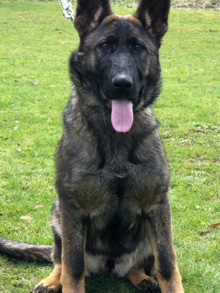 alt obrázku z admin