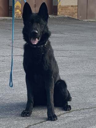 alt obrázku z admin