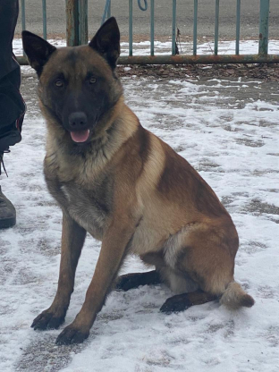 alt obrázku z admin