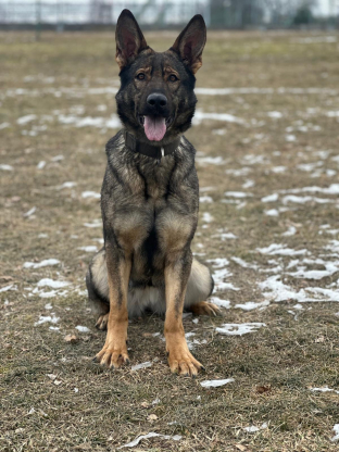 alt obrázku z admin