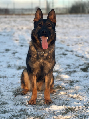 alt obrázku z admin