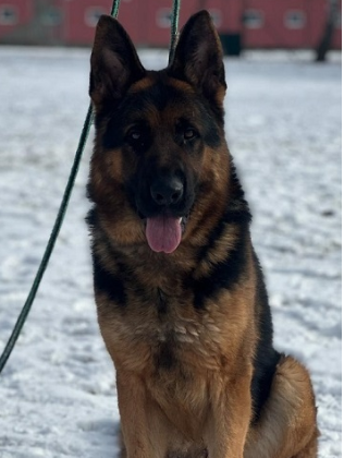 alt obrázku z admin