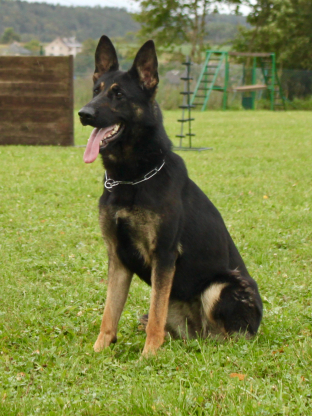 alt obrázku z admin