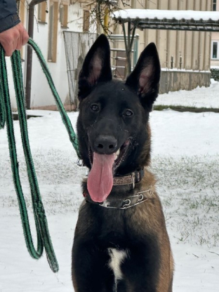 alt obrázku z admin