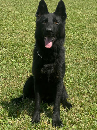 alt obrázku z admin