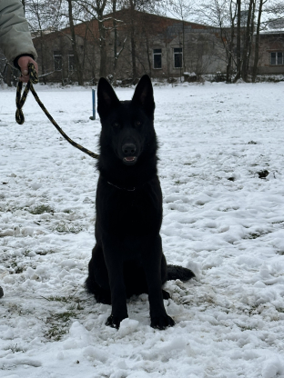 alt obrázku z admin