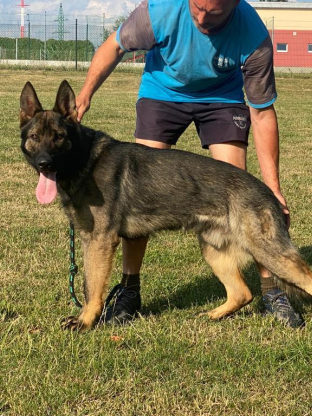 alt obrázku z admin