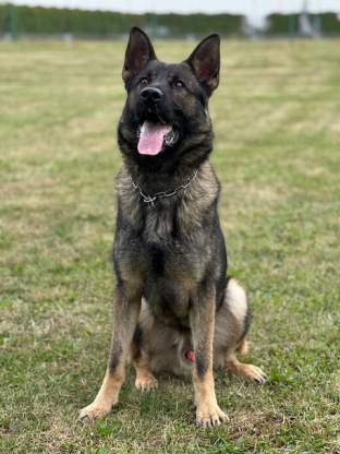 alt obrázku z admin