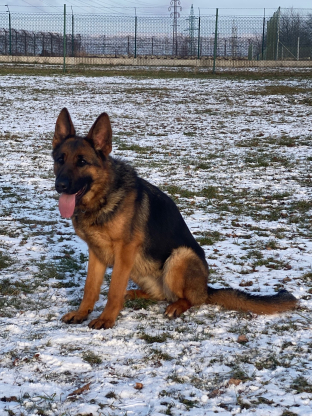 alt obrázku z admin