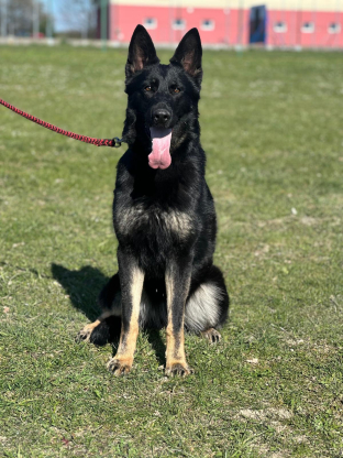 alt obrázku z admin