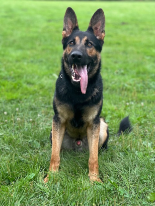 alt obrázku z admin