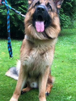 alt obrázku z admin