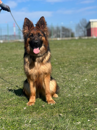 alt obrázku z admin