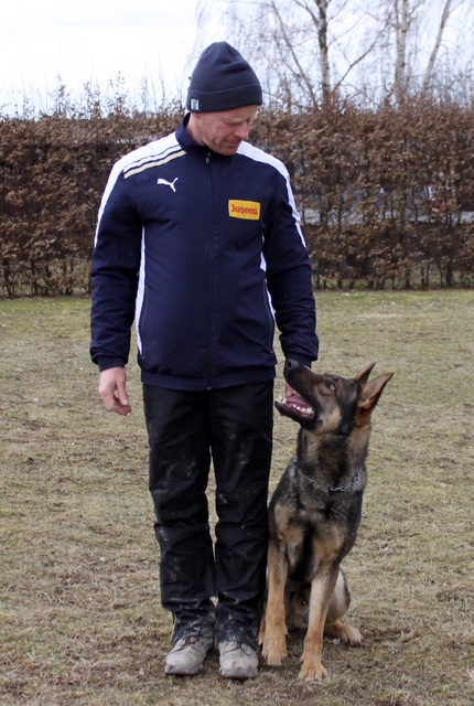 HLÍDKOVÝ DOPROVODNÝ PES